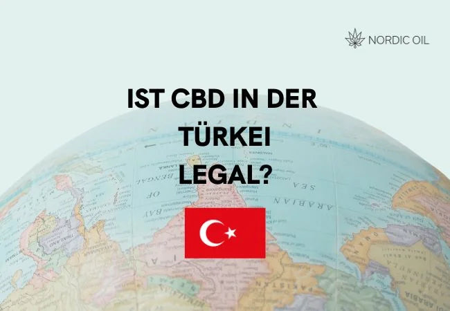 elfbar elfa master akku Vape-Großhandel in der Türkei | Großhandels-Vapes & B2B-Angebote main image 0