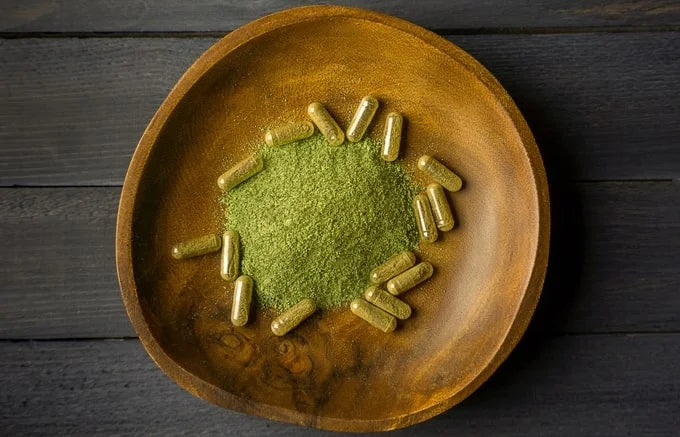 Moringa Wirkung – Vorteile, Anwendungen und Fakten zum Wunderbaum
