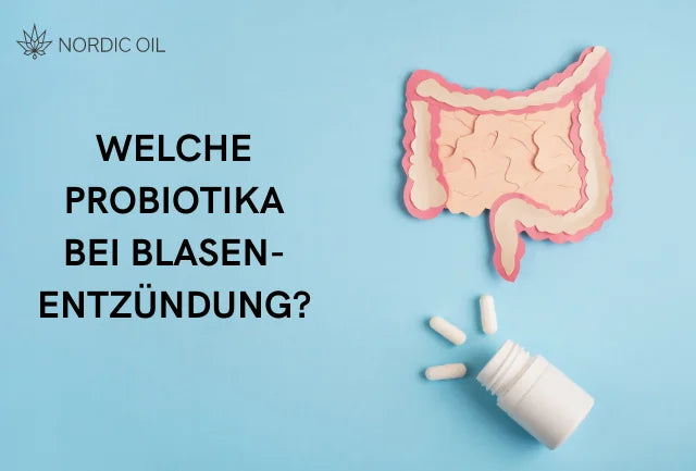 Welche Probiotika helfen bei Blasenentzündung: Ein Leitfaden