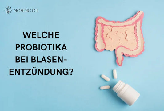 Welche Probiotika helfen bei Blasenentzündung: Ein Leitfaden
