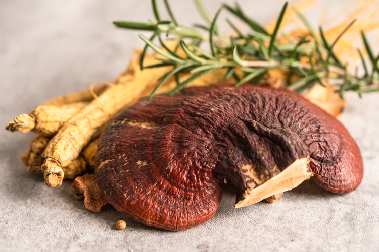 Reishi Pilz: Natürliche Unterstützung für Immunsystem und Psyche
