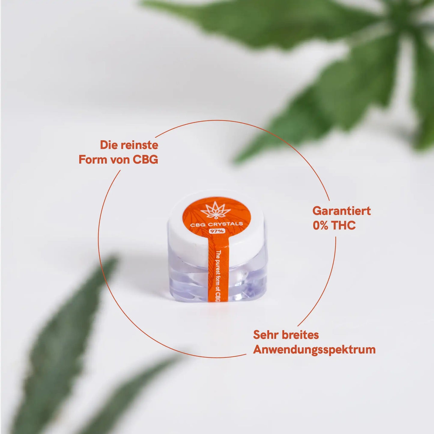 Die besten CBG-Kristalle