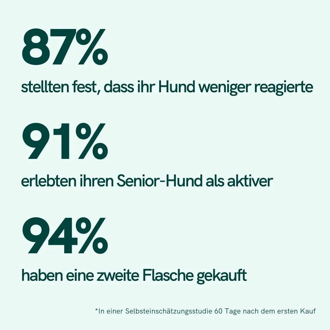 CBD Öl für Hunde - Rind
