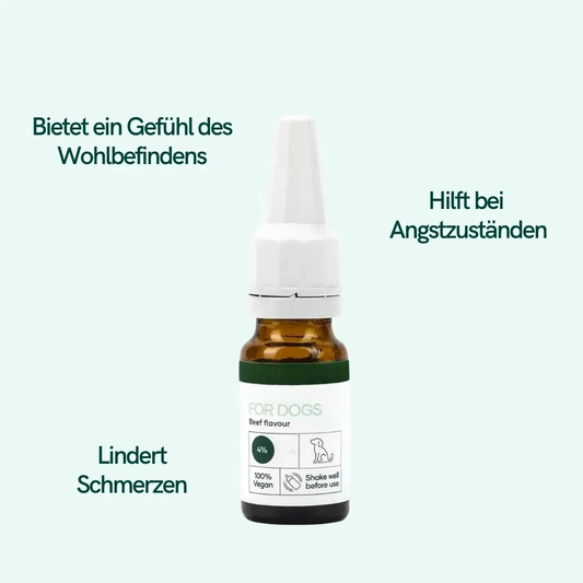 CBD-Öl für Hunde in brauner Glasflasche mit Tropfer und Etikett 'Beef flavour' vor hellgrünem Hintergrund.