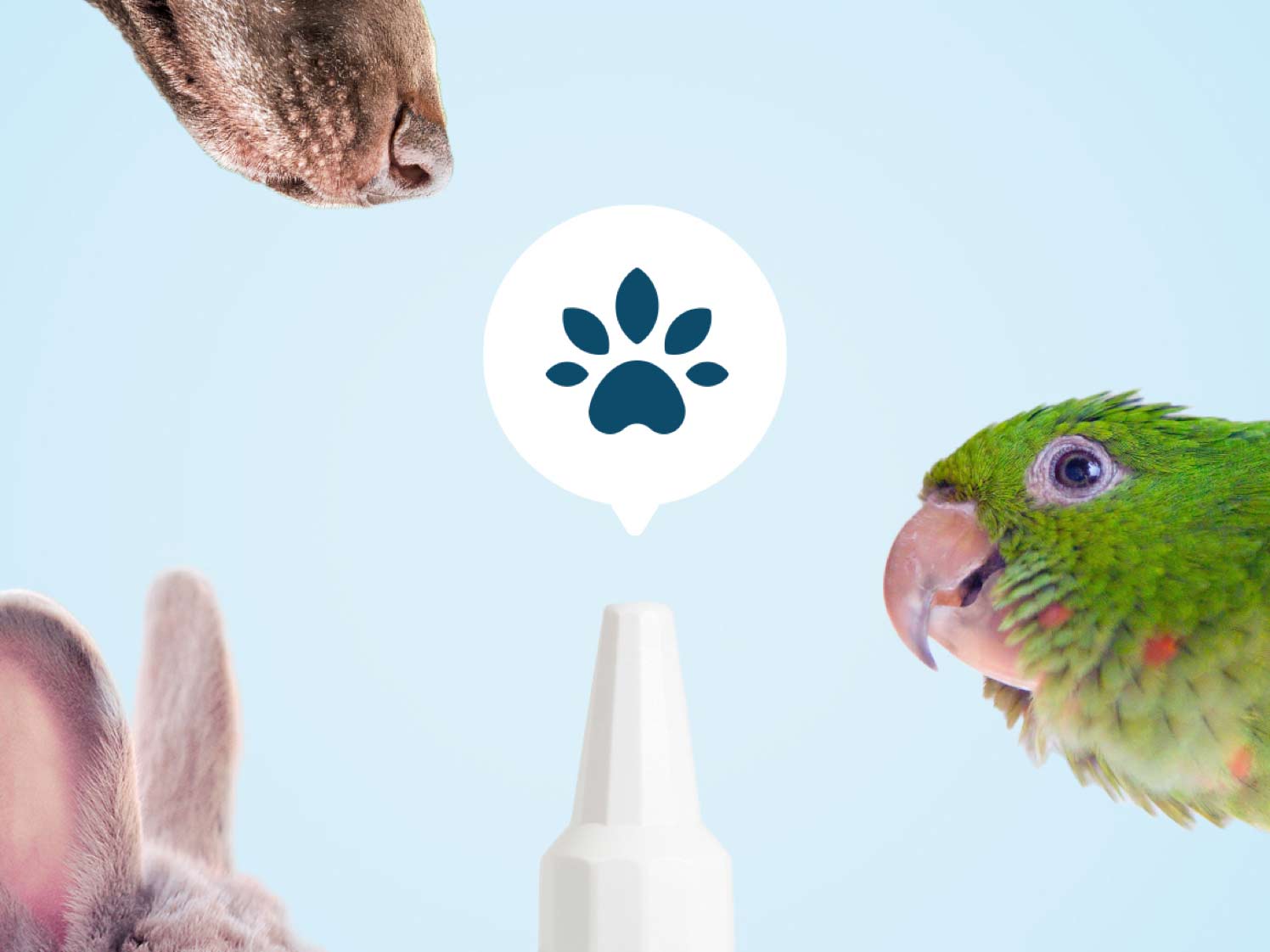 Nordic Oil-NatuPet CBD Öl für alle Tiere aus hoher Qualität