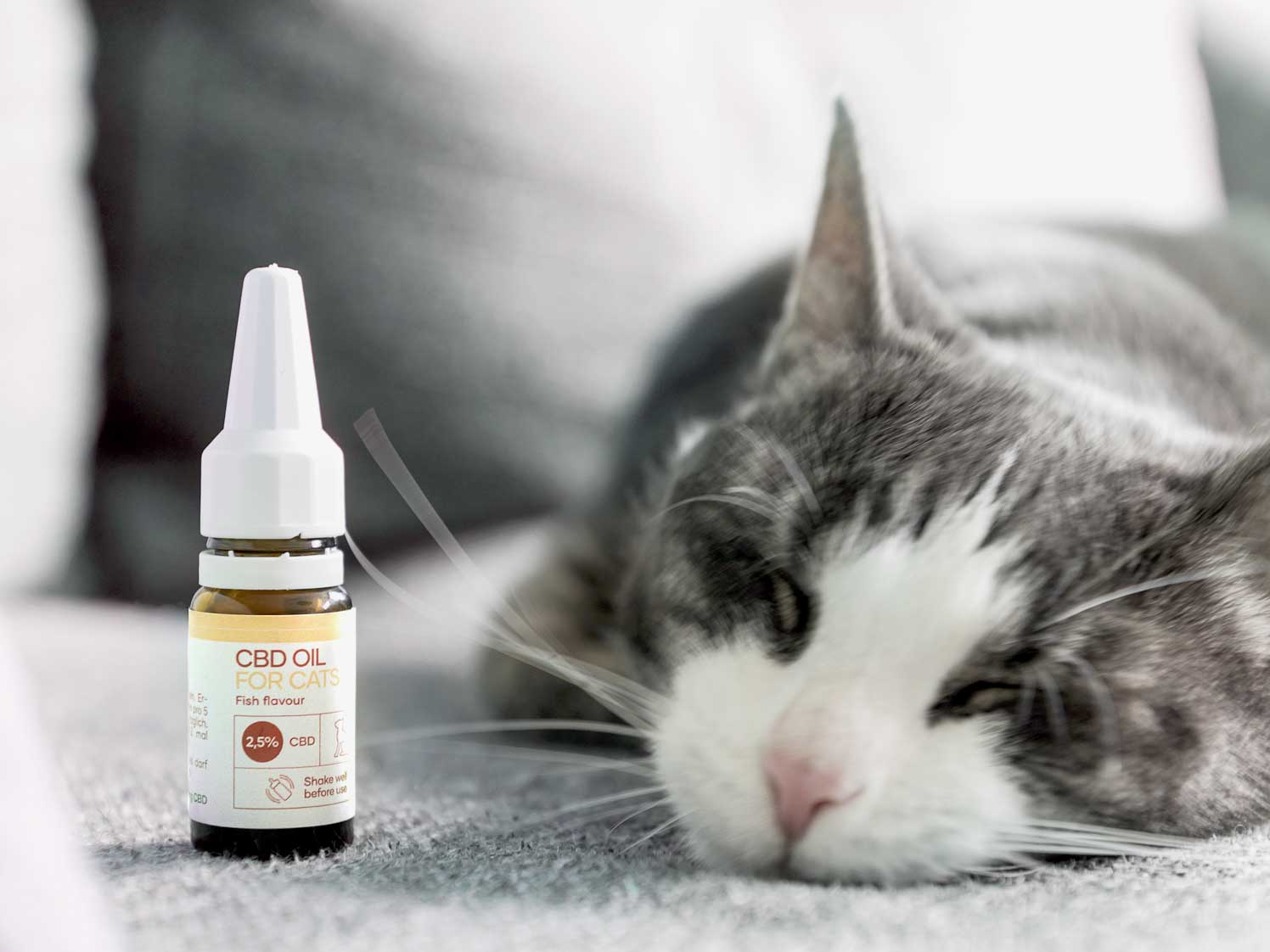 Eine Katze die neben einer NatuPet CBD Öl Flasche schläft 