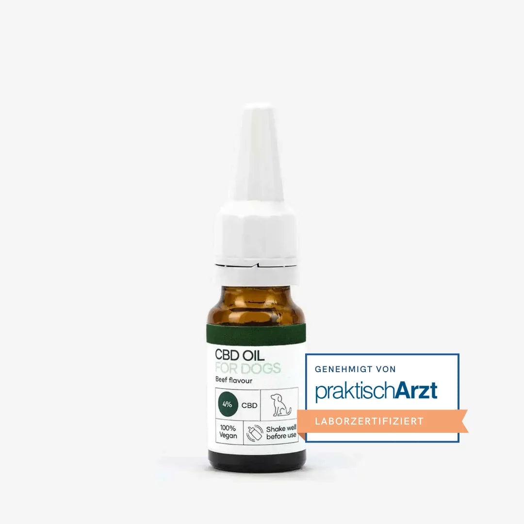 CBD Öl für Hunde (4%) Rindgeschmack