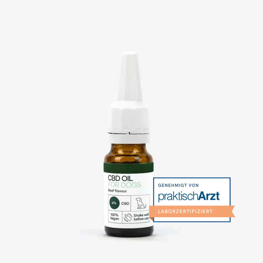 CBD-Öl für Hunde – Beef-Geschmack, 4% CBD, Tropfflasche, laborzertifiziert