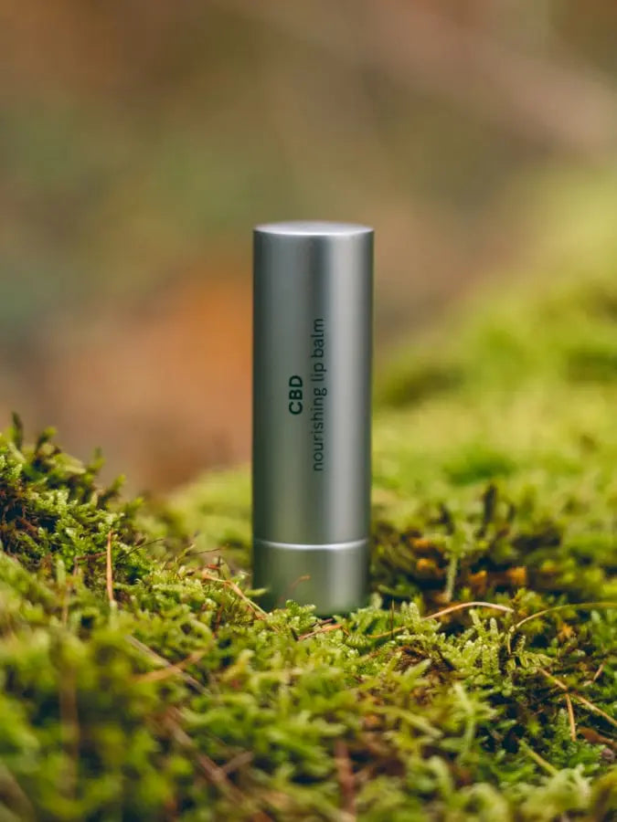 Ein CBD Lippenbalsam von Nordic Oil steht auf Moos in der Natur