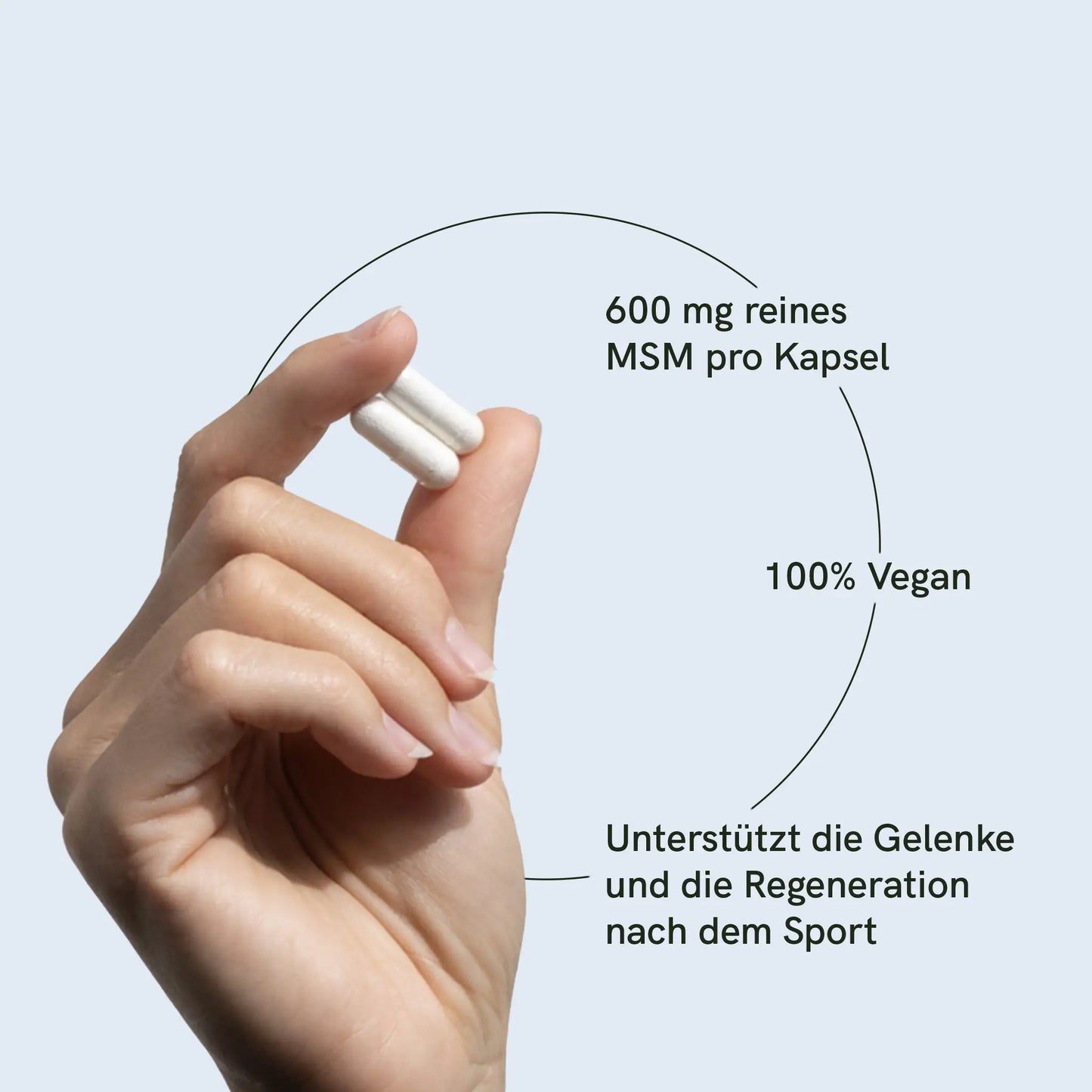 MSM Kapseln