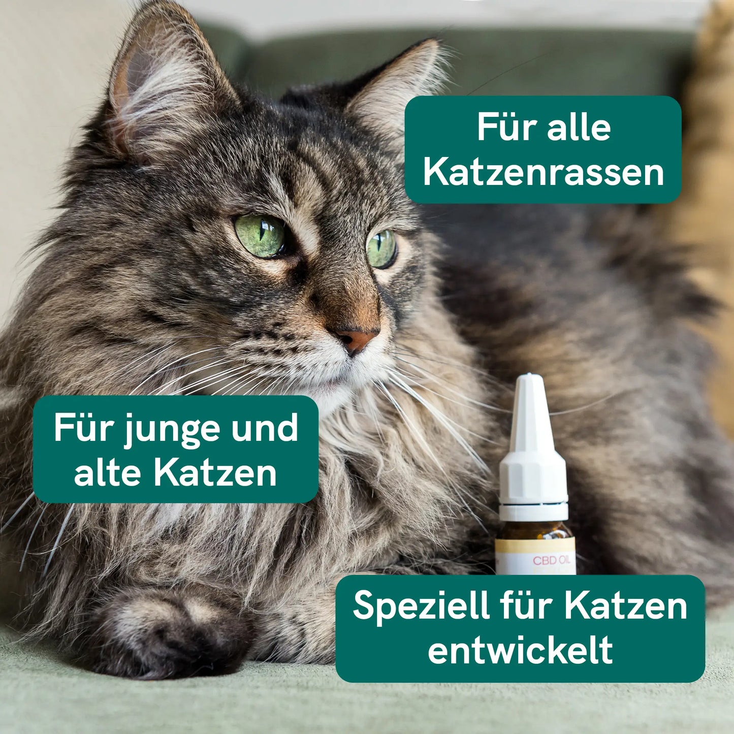 CBD Öl für Katzen (2,5%) Fisch
