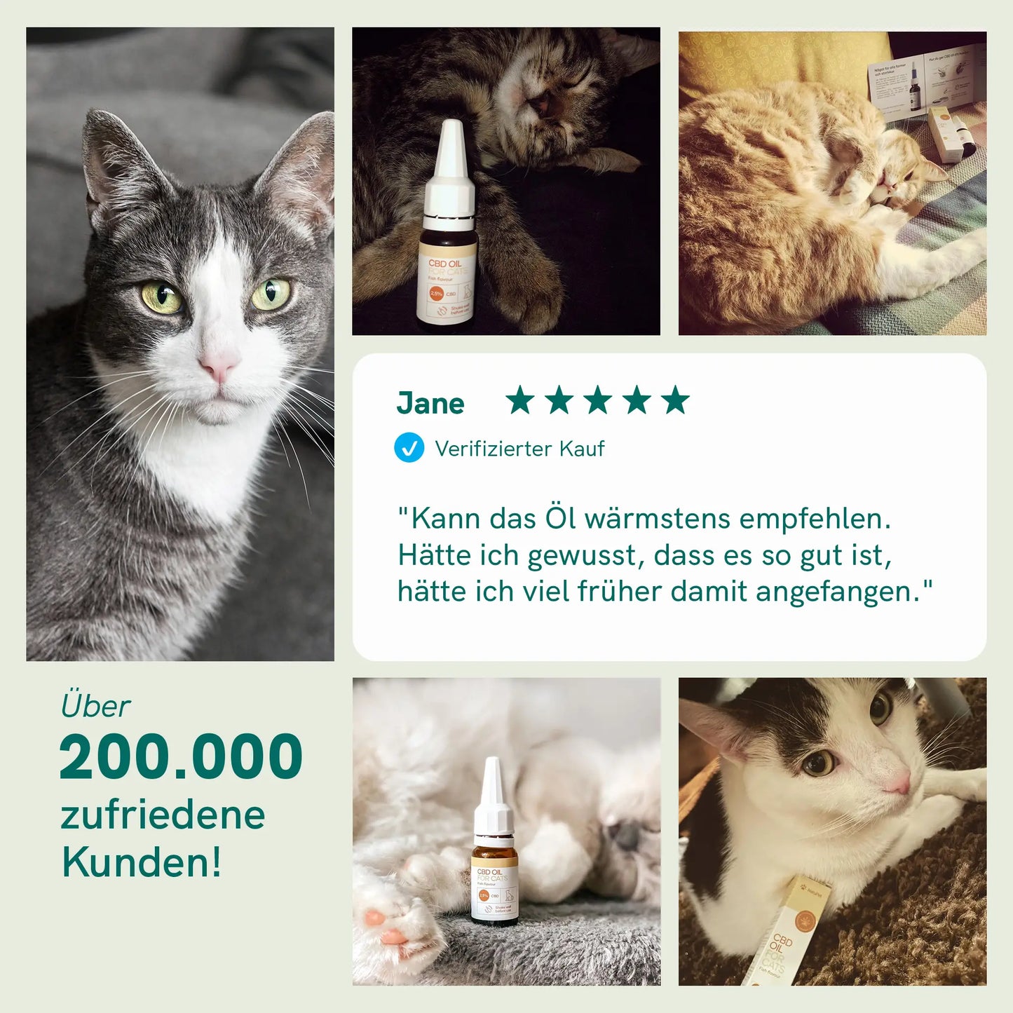 CBD Öl für Katzen (2,5%) Fisch