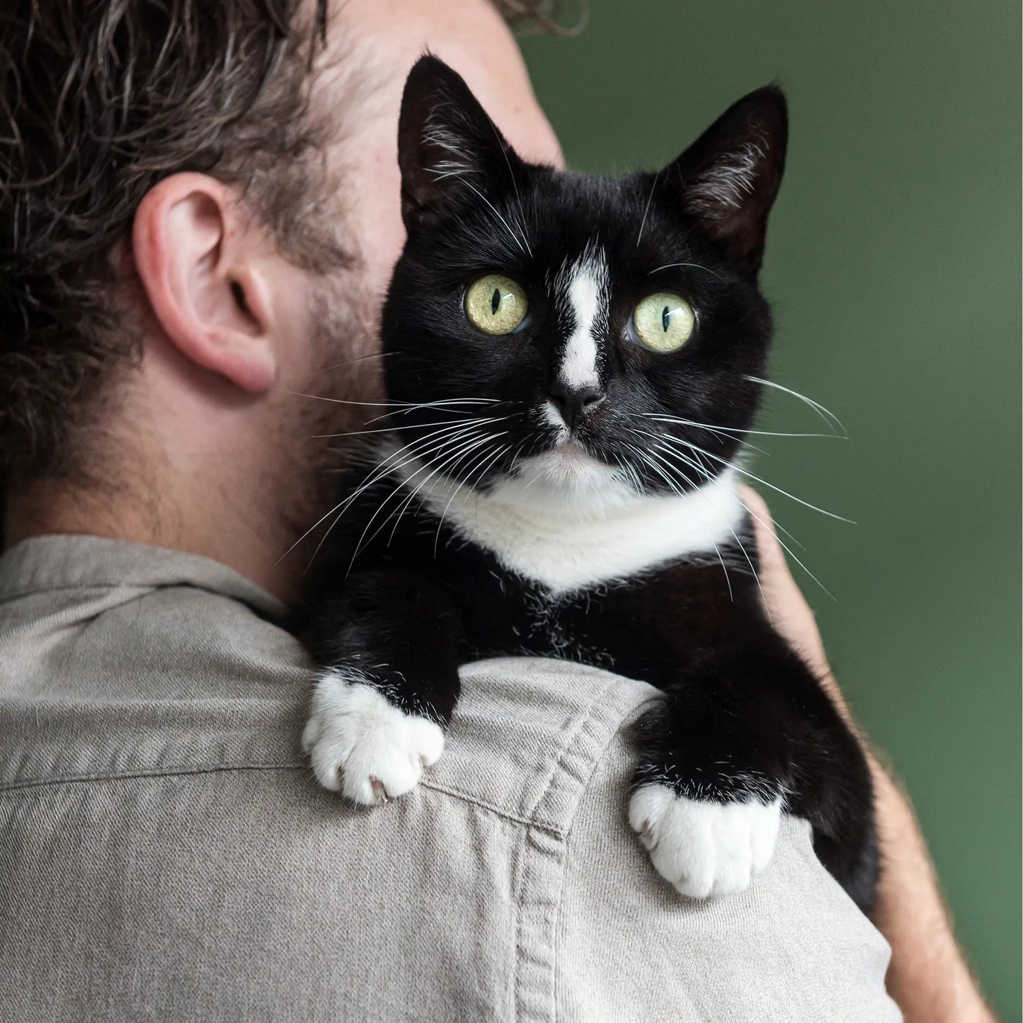 CBD Öl für Katzen (2,5%) Fisch