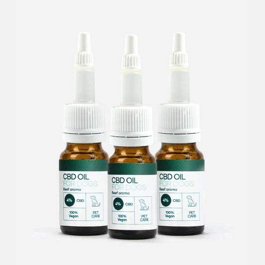 3er-Pack: CBD Öl für Hunde - Rind (4%)