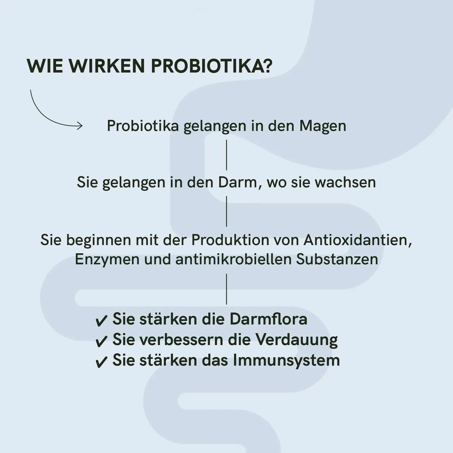 3FÜR2: Probiotika