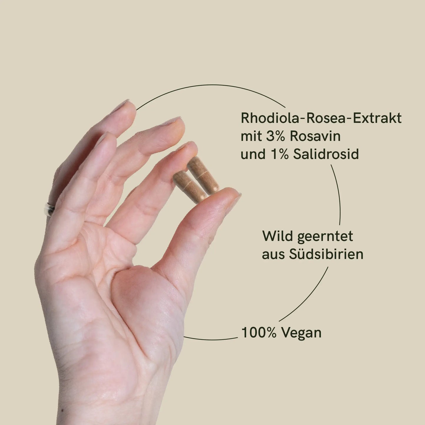 Rhodiola Rosea Extrakt Kapseln