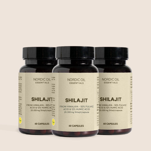 3FÜR2: Shilajit Kapseln