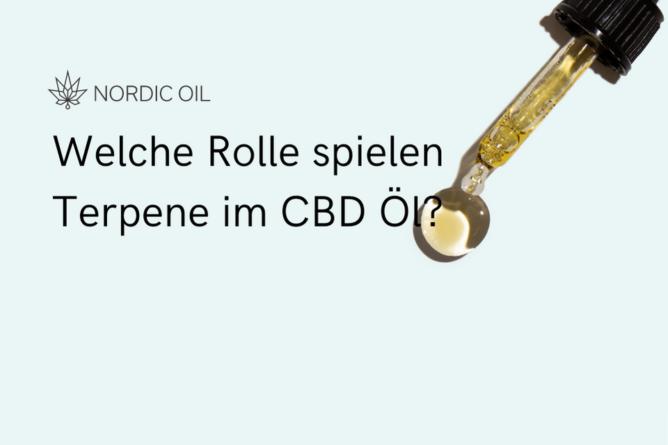 was-sind-terpene-im-cbd-ol