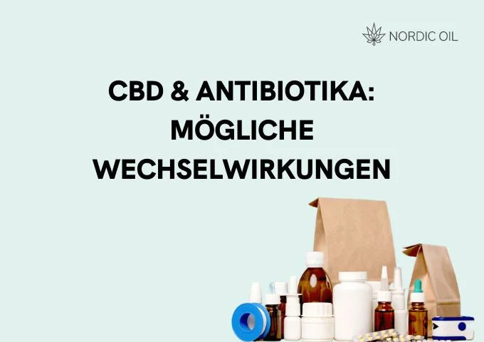 CBD und Antibiotika Die Wirkungsweise von Antibiotika