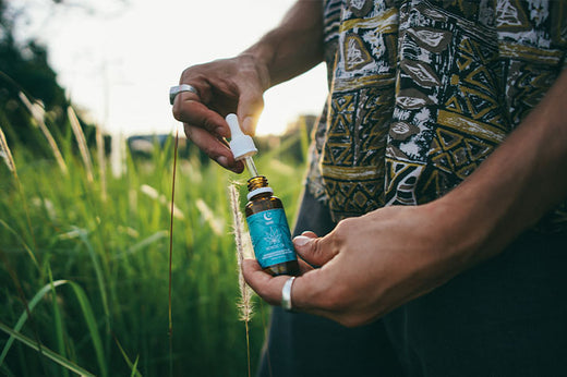 CBD Öl