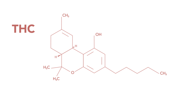 THC Formel