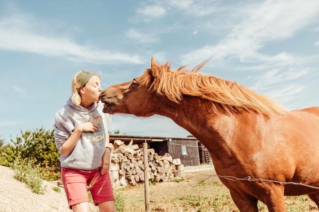 Eine Frau küsst ein Pferd.