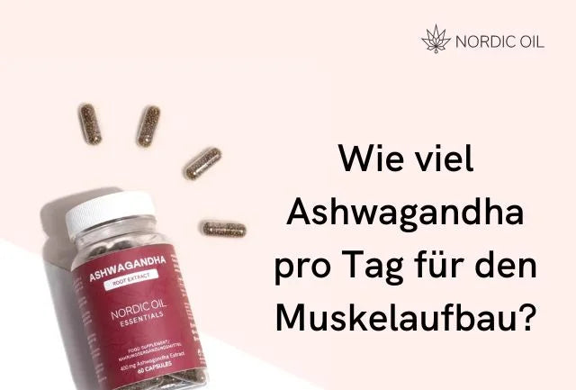 Wie viel Ashwagandha pro Tag für den Muskelaufbau?
