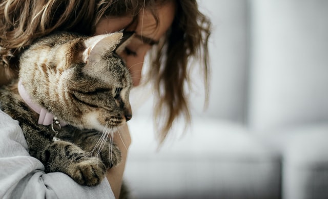 Ein Mädchen hält eine Katze in der Hand.