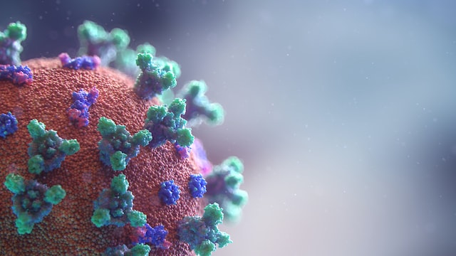 Das Bild eines Virus Proteins