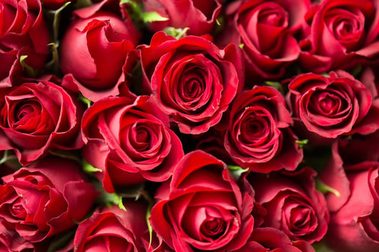 Red-roses