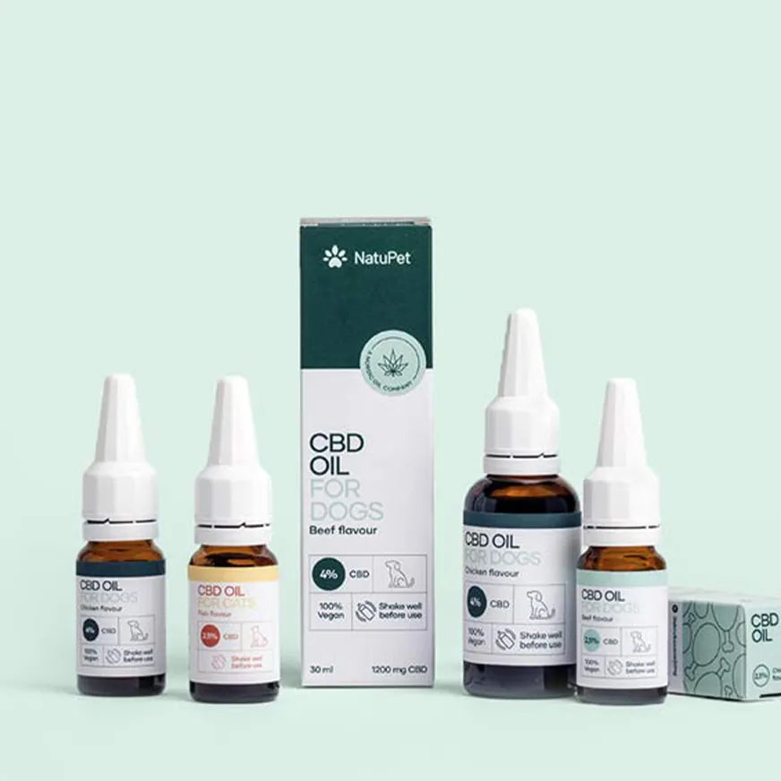 CBD für Tiere