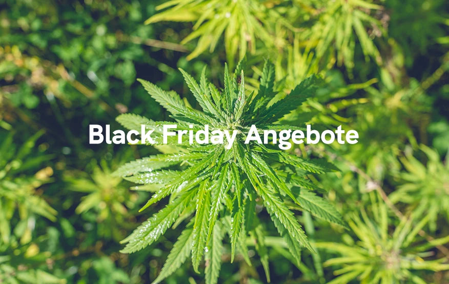 Black Friday Angebote 2023