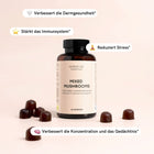 Fokus Gummies mit Vitalpilzen