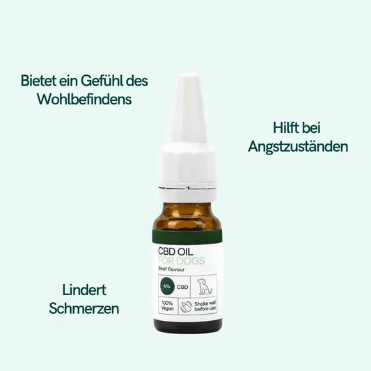 CBD Öl für Hunde - Rind