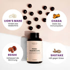 Gummies mit Bio-Vitalpilzen