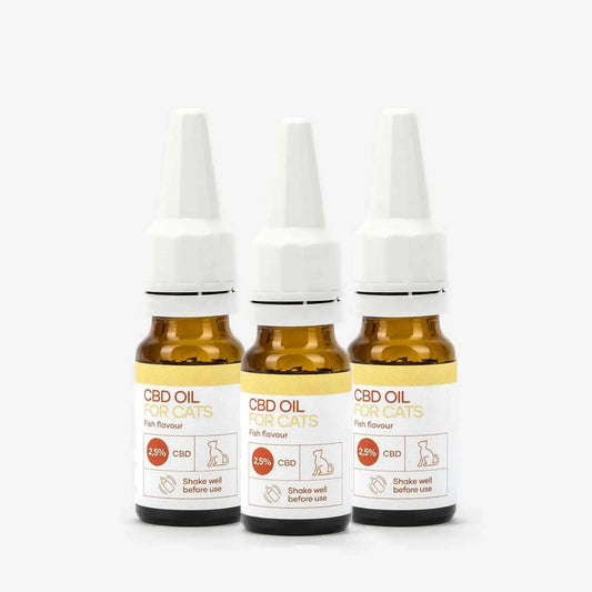 3FÜR2: CBD Öl für Katzen - Fisch (2,5%)