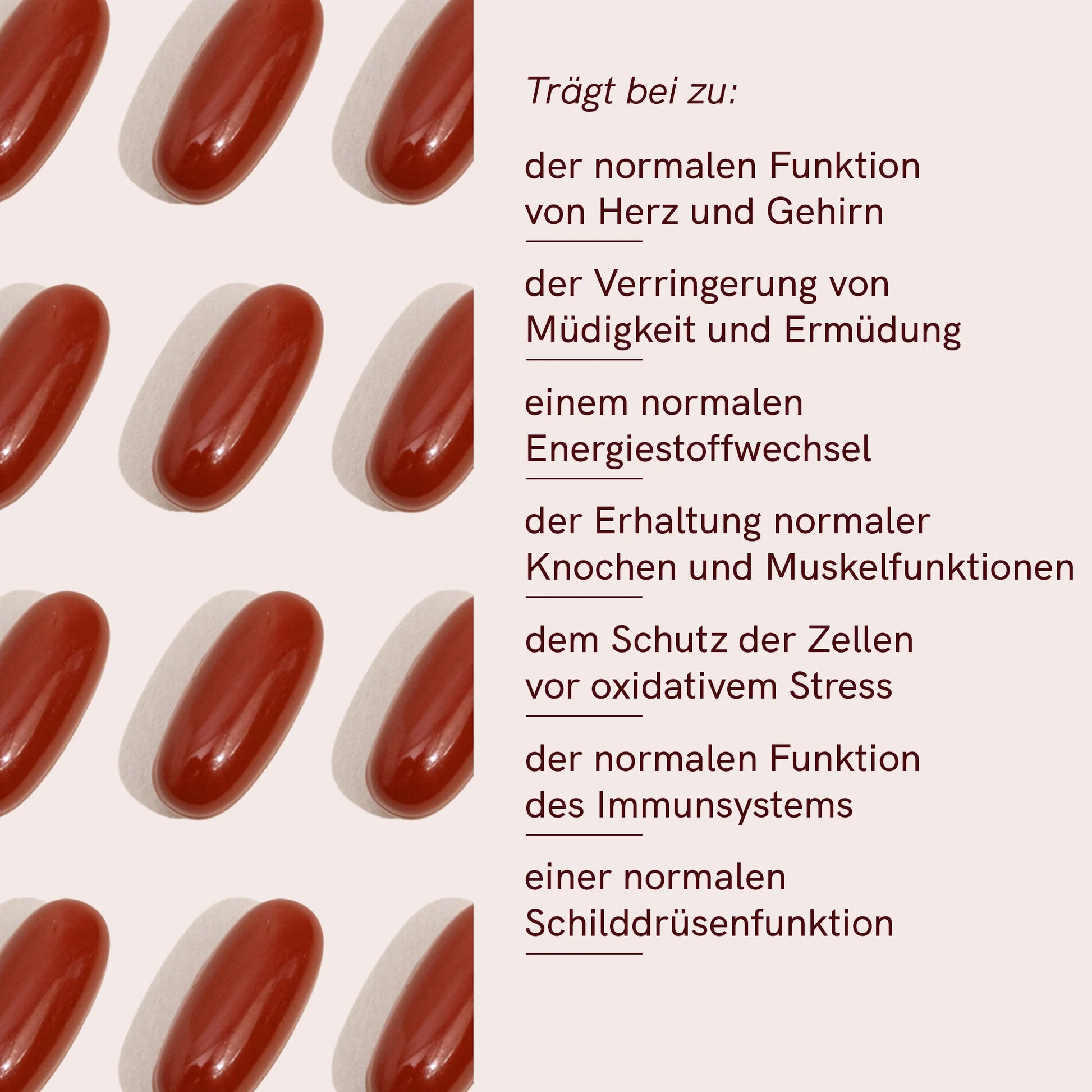 Multi-Komplex 50+ | All-in-One tägliche Kapsel für Erwachsene über 50