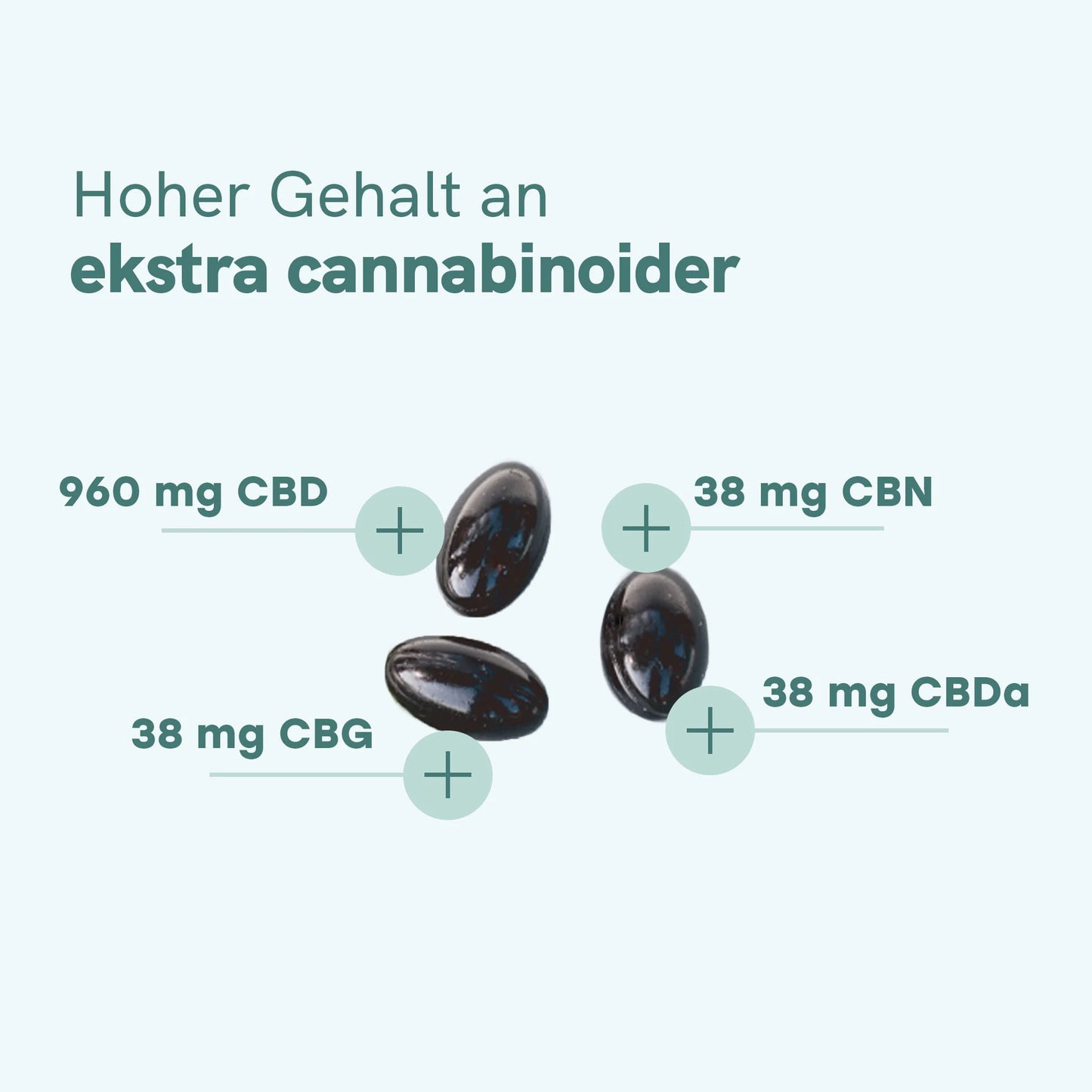 CBD Kapseln (960mg)