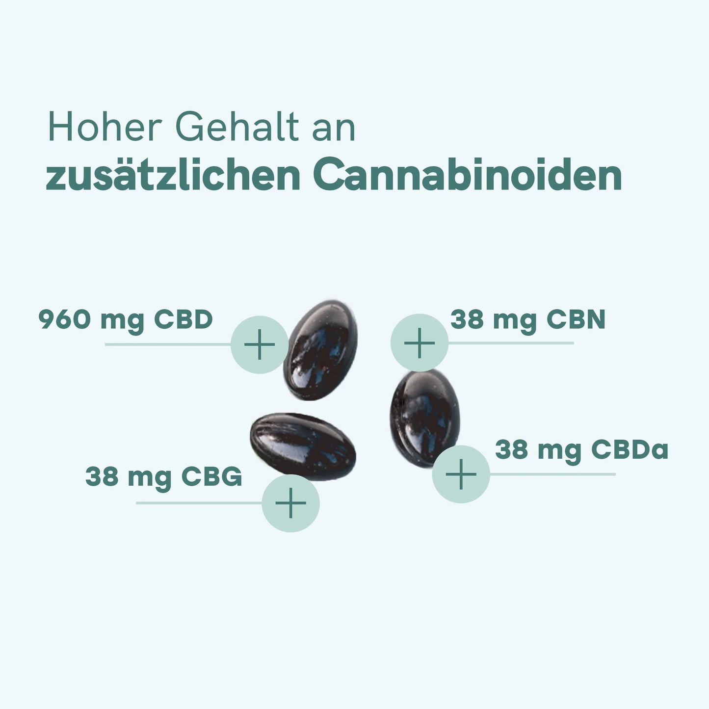 CBD Kapseln (960mg)