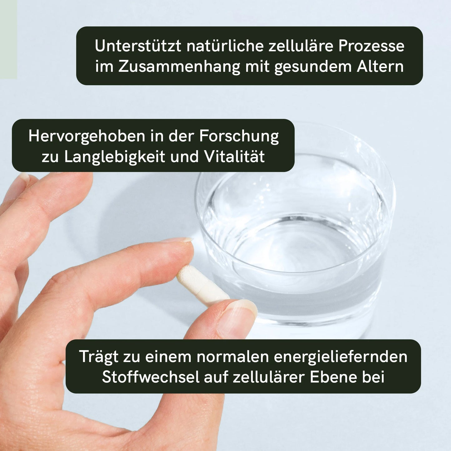 Nicotinamid-Ribosid (NR) Kapseln