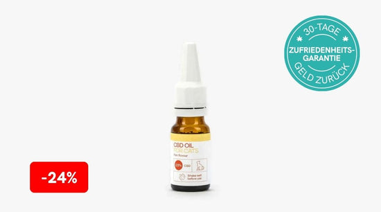 Angebot auf CBD Öl für Katzen