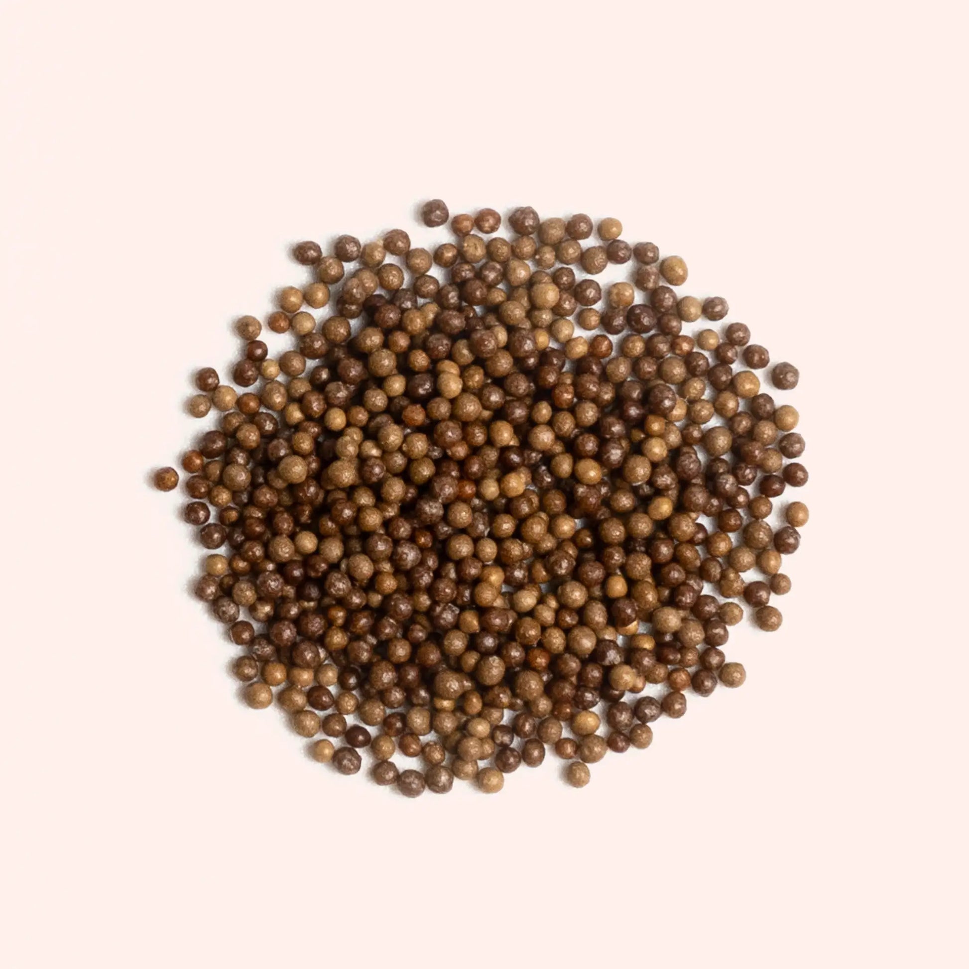 Ashwagandha Kapsel Inhalt