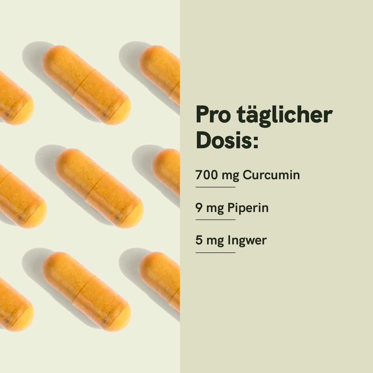 Curcumin Kapseln