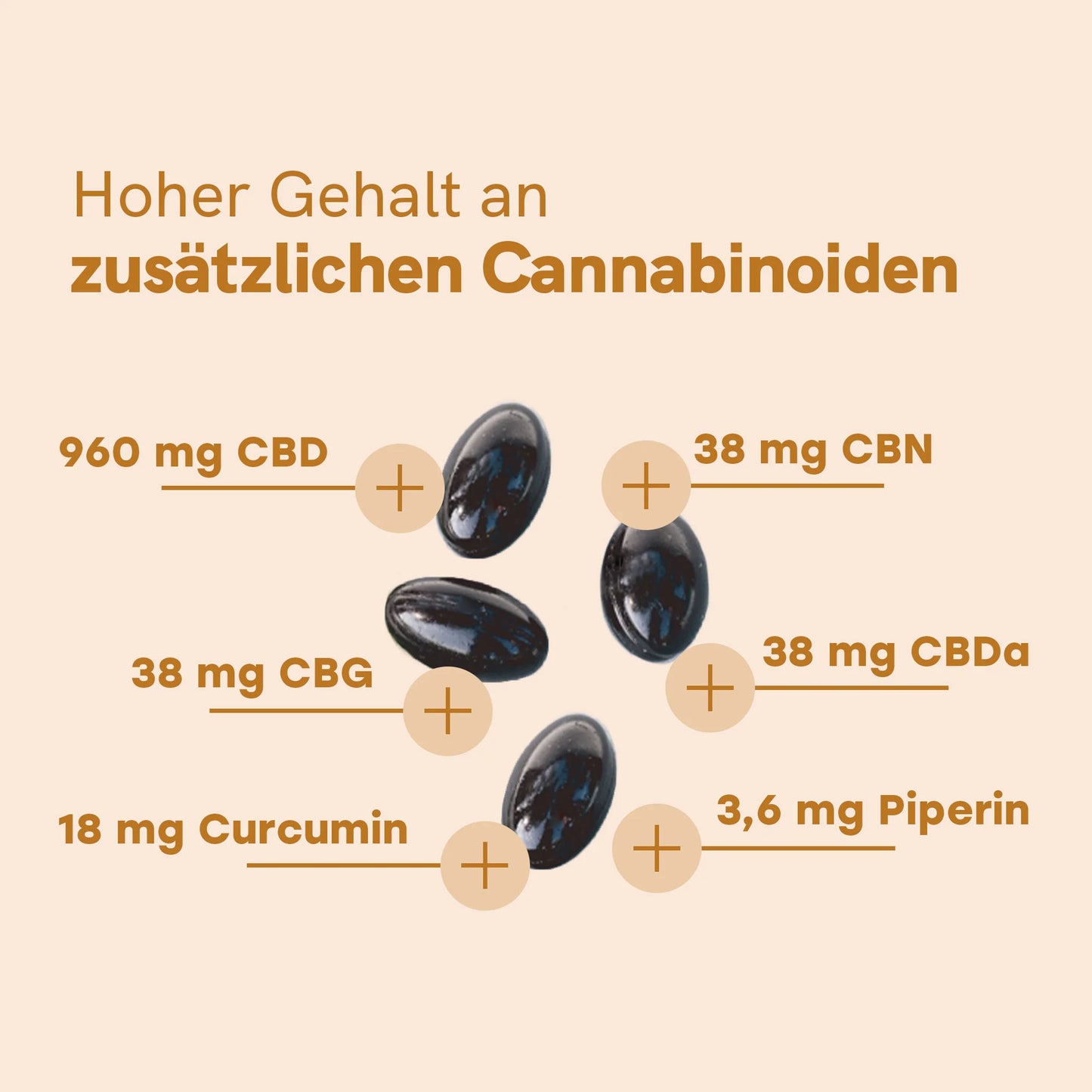 CBD Kapseln (960mg) mit Curcumin