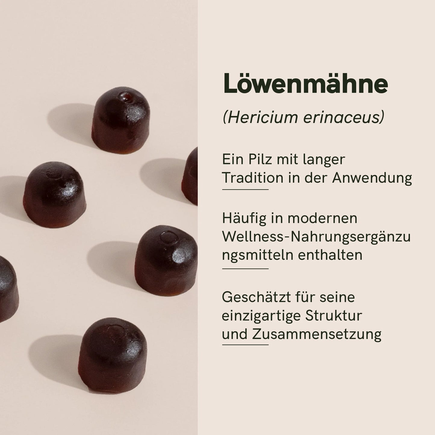 Löwenmähne Vitalpilz-Gummies