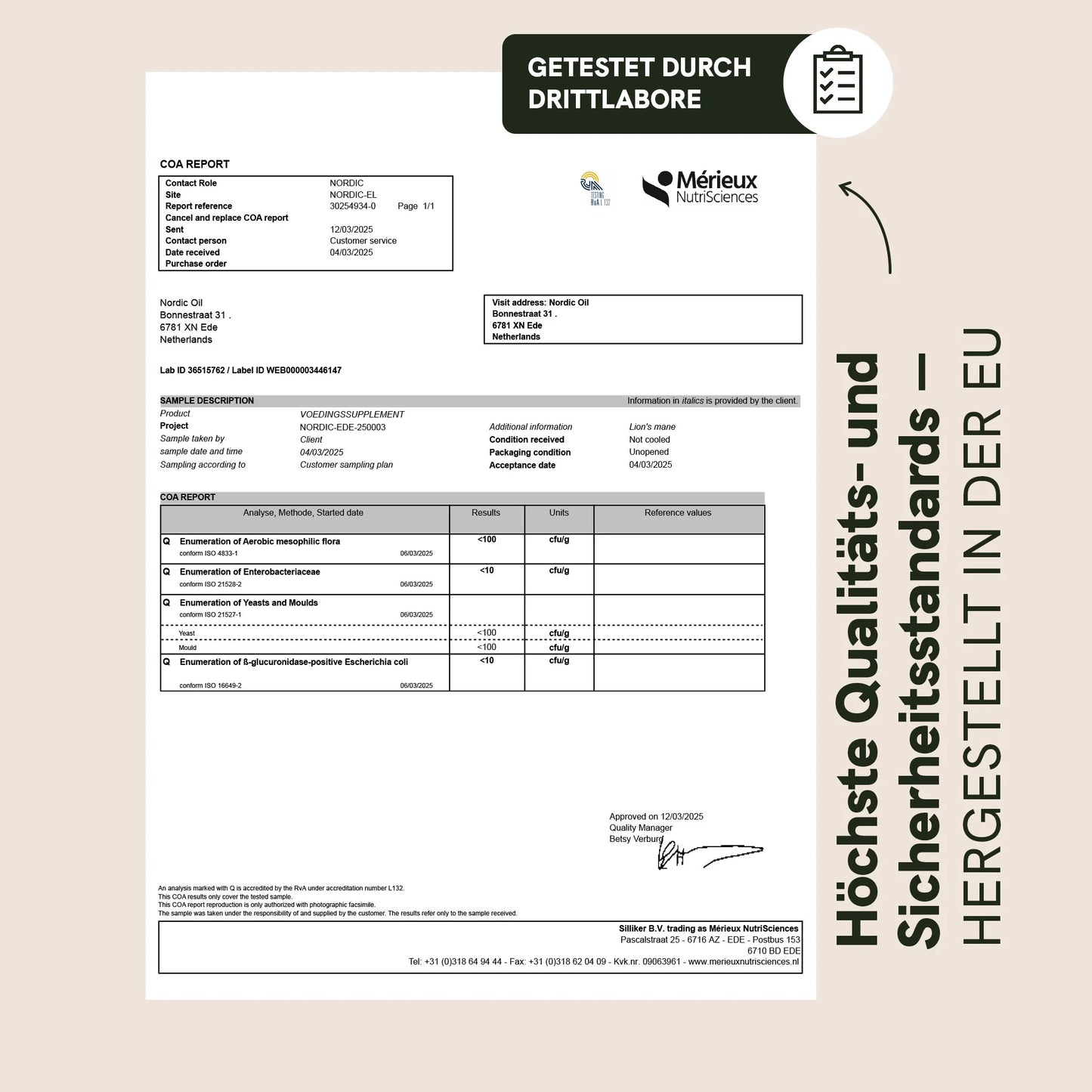 Löwenmähne Vitalpilz-Gummies