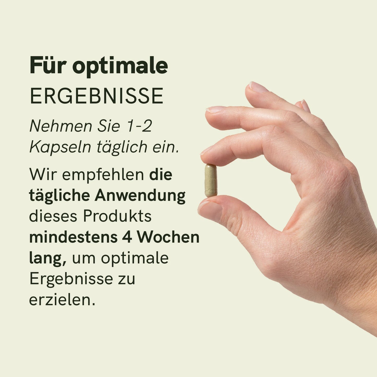 Moringa-Pulver-Kapseln