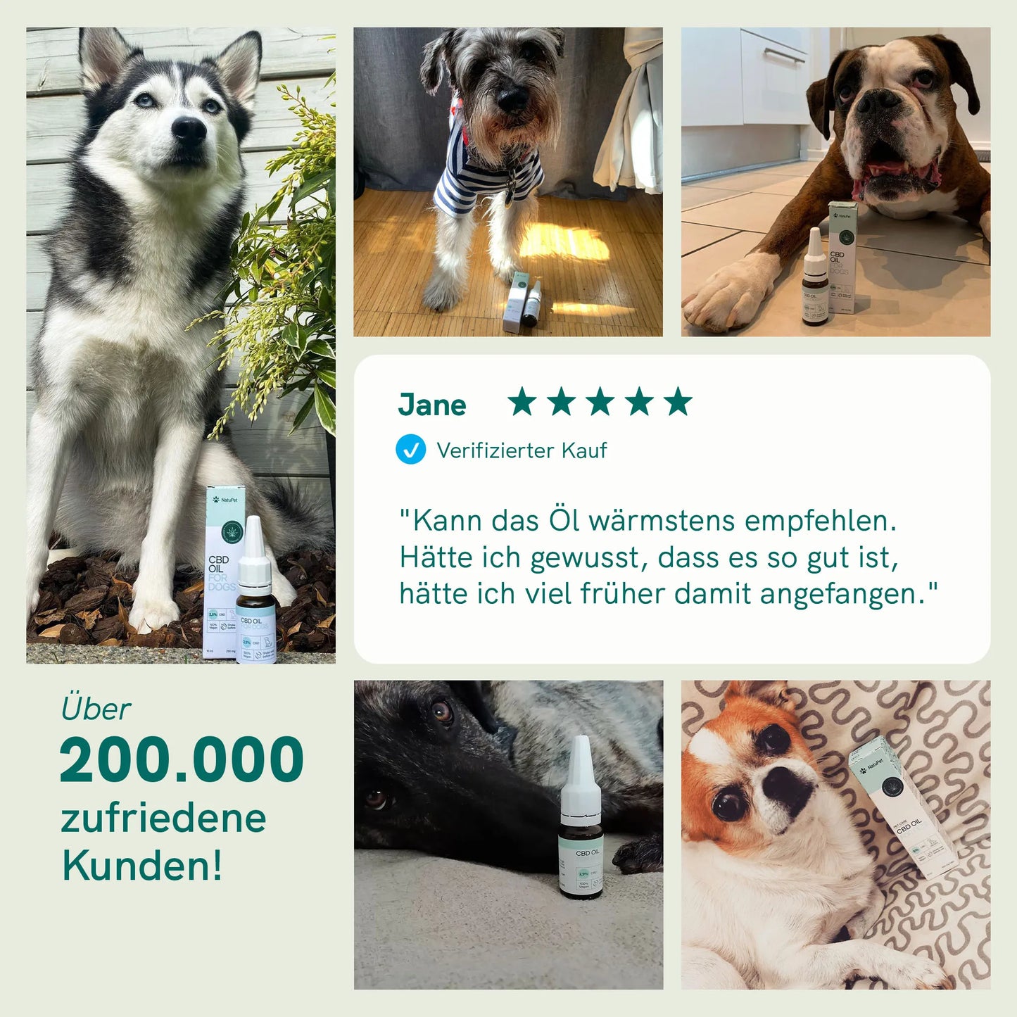 CBD Öl für Hunde - Rind (4%)