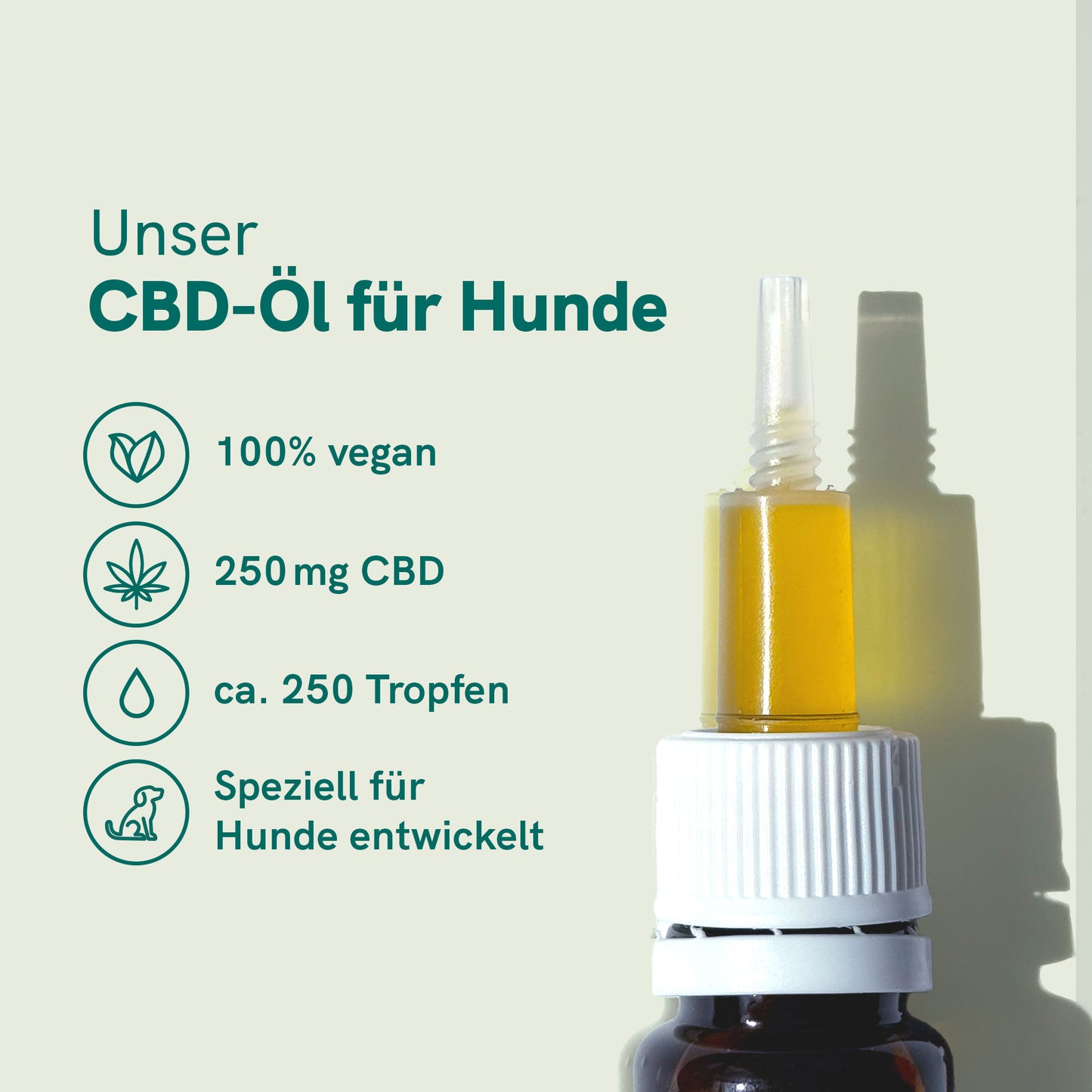 CBD Öl für Hunde - Rind (2,5%)