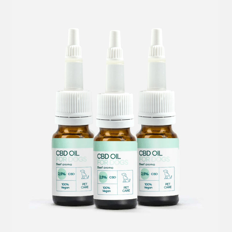3er-Pack: CBD Öl für Hunde - Rind (2,5%)